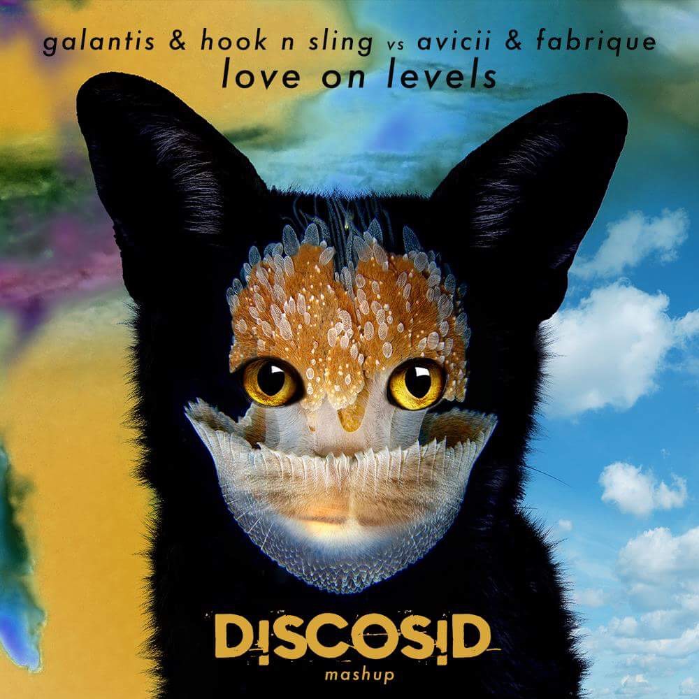 Galantis & Hook N Sling Vs Avicii & Fabrique - Love On Levels (Discosid Mashup)